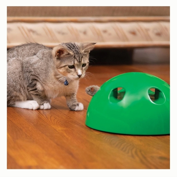 Pets Know Best Pop N Play Interactive Cat Motion Toy, Green - Picture 7 of 12